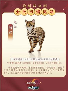 天龙八部私服火影版
